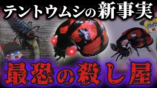 【悲報】テントウムシさん…幼虫時代から最強の殺し屋だった…