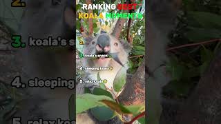 RANKİNG BEST KOALA MOMENTS!! RANKİNG BEST KOALA MOMENTS!!