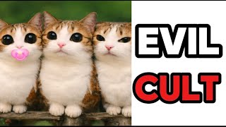 Download Lagu I started a cult... (5,000 SUBSCRIBERS) MP3