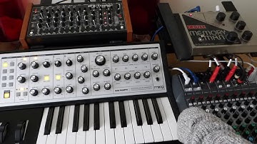 MFB Tanzbar, Moog Sub Phatty & EHX Deluxe Memory Man