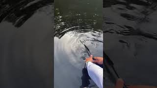 А вы как ловите? #рыбалка #поймалотпусти #fishing #малыереки #рыбак #голавль #жерех #рыба #спиннинг
