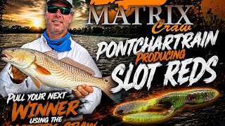 DockSide TV 'Heavy Slot Reds Chewing Up the Matrix Craw'