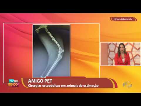 Vídeo: Cuidando do seu animal de estimação após a cirurgia