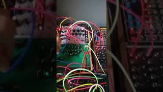 LepLoop Modular Test #leploop #eurorack