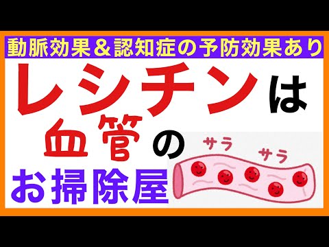 【動脈硬化＆認知症予防】レシチンは血管クリーナー［超ゆる〜い健康的な食事と栄養の話］栄養学初心者向け