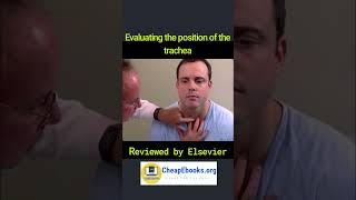 Celebrity #MS055 Evaluating the position of the trachea Net Worth