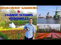 Keukenhof gardens  zaanse schans windmills  netherlands tulips family trip 