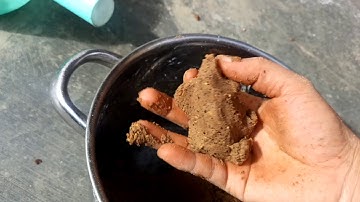 5 Phút làm mồi câu cá sông cực béng