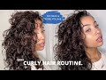CURLY HAIR ROUTINE | HOW I ACHIEVE DEFINED CURLS & VOLUME | TIPS AND TRICKS