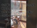 98歳。犬猫と暮らす元気なお爺さんの名言集#人生#名言#shorts