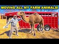 Moving My ENTIRE BACKYARD FARM to the NEW PROPERTY!!! (Ralph Was Angry)