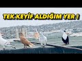 KEYİF ALDIĞIM TEK YER ! Herşey doğal