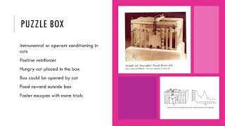 Edward Lee Thorndike’s Puzzle Box