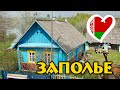 Деревня ЗАПОЛЬЕ 🏡 Белорусская Глубинка 🇧🇾 Заброшенное Село