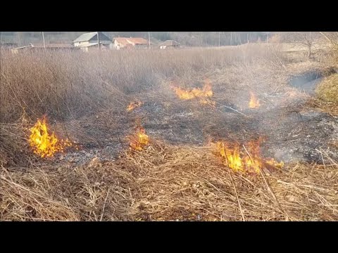 Izazvao sam kontrolisani pozar na imanju. Vatra protiv korova