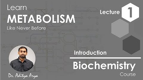 Introduction to Metabolism