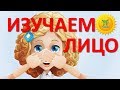 ИЗУЧАЕМ ЛИЦО развивающий мультик для маленьких