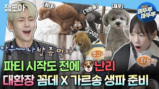 [#나혼자산다] 대환장 컬래버레이션 4마리의 강아지들이 한 집에 모이면 생기는 일(Feat. 꼼데 X 가르송…