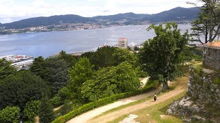 Ven ás Rías Baixas, ven a Pontevedra Provincia