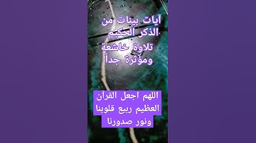 آيات بينات من الذكر الحكيم #quran #explore #اكسبلور #قران #القرآن_الكريم #قرانكريم #القرآن_الكريم