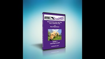 Talking Dogs Scentwork® Scent 1 Trailer