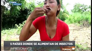 Países donde se alimentan de insectos