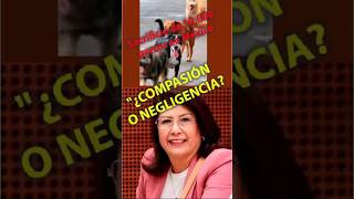 10 mil perros muertos: La factura del Romanticismo #perros #adiestramientocanino #saludpublica