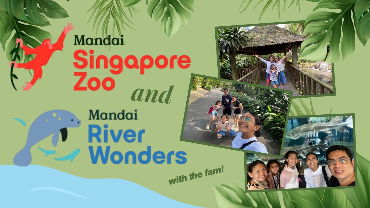 Singapore Zoo and River Wonders in One Day🌿