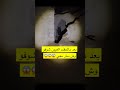 القرية المسكونه        جن رعب اكسبلور