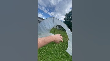 Thumbnail of Greenhouse cheap diy #farming #green #shorts #greenhouse