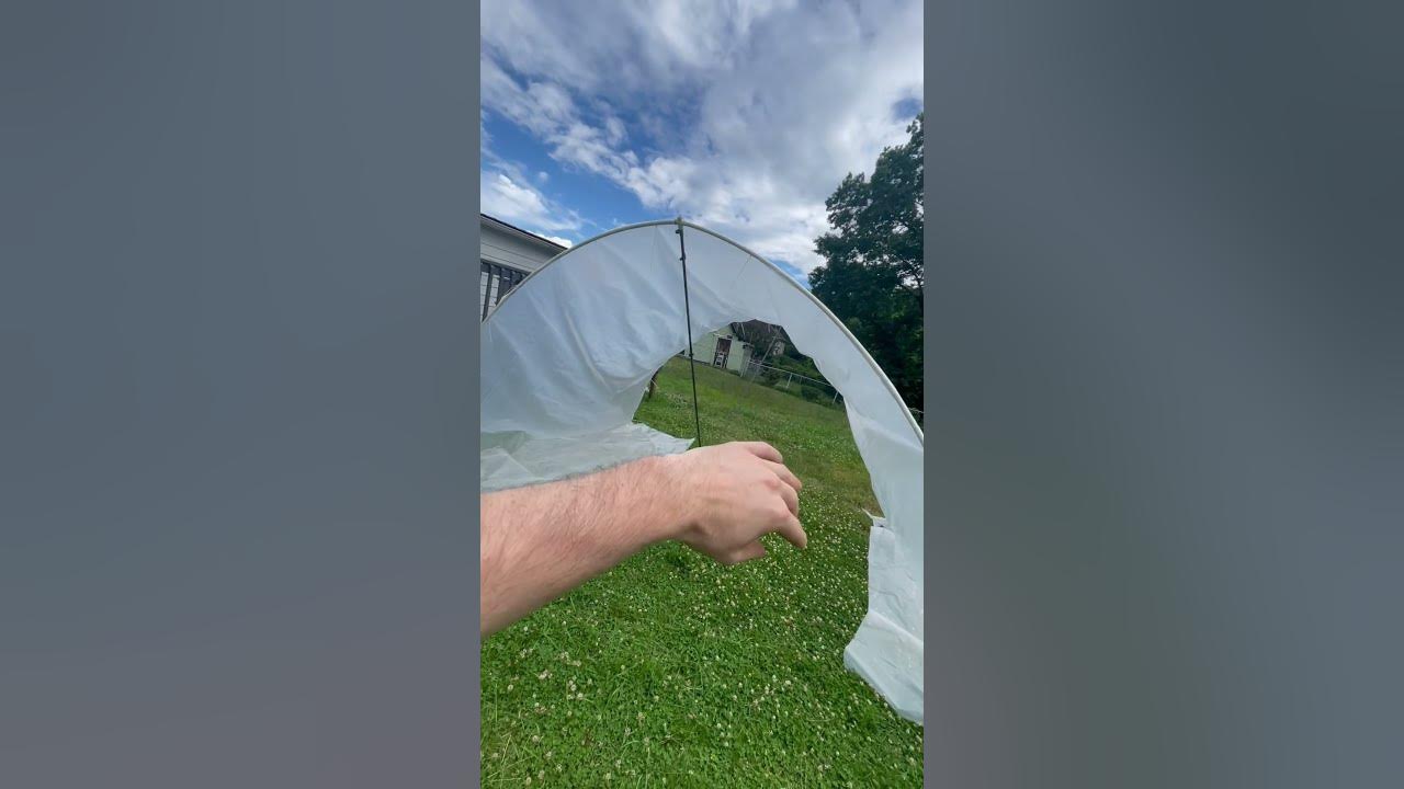Greenhouse cheap diy #farming #green #shorts #greenhouse