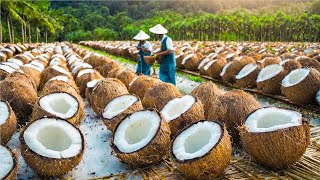 You Won&#39;t Believe How Coconut is Processed And What is Made Using Coconut