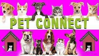 Pet Connect - 10/19/2022