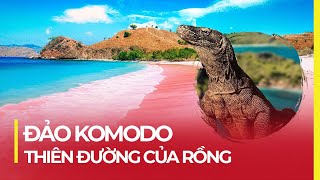 BÍ ẨN KOMODO - HÒN ĐẢO CỦA NHỮNG CHÚ RỒNG CUỐI CÙNG