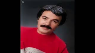 Ferdi Tayfur Şu Başıma Gelene Bak