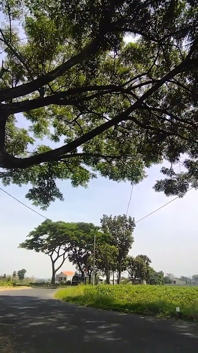 kita saling terhalang dinding kaca#lagu #shortsvideo