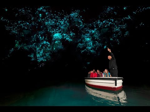 Video: Waitomo Glowworm Caves: Den kompletta guiden