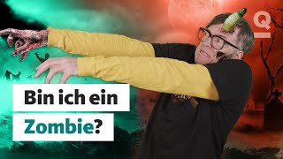 Können Wir Zu Zombies Werden? Quarks Dimension Ralph