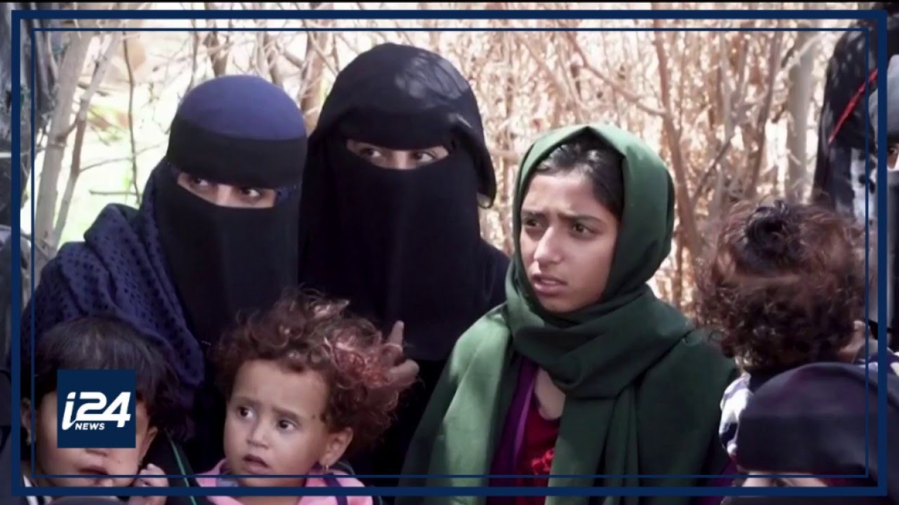 Saudi FM: Rift with Lebanon is rooted in Hezbollah