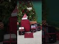 Merry Christmas! 🎄🎒✨ The best bundle awaits #CabinZero