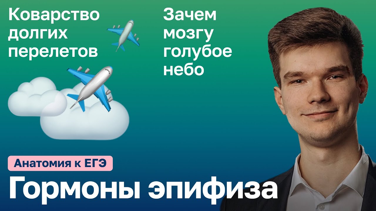 6.85. Гормоны эпифиза: мелатонин и серотонин | Анатомия к ЕГЭ | Георгий ...