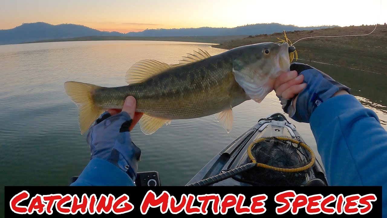 Winter Bass Fishing At New Melones (MOST EPIC DAY)