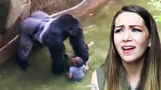 MOM REACTS TO CINCINNATI ZOO GORILLA INCIDENT!