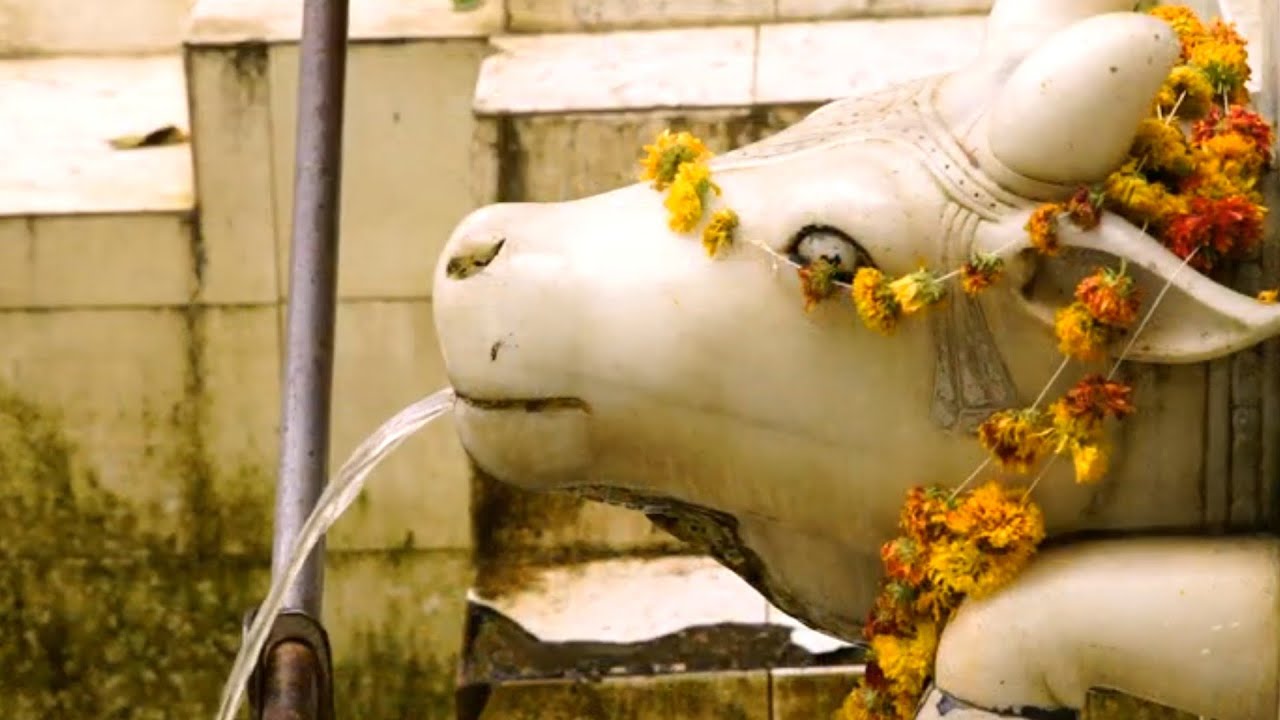 GAUMUKH LiVE ViDEO RUSHi VASHiSTA ASHRM MOUNT ABU HiLL STATiON