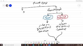 أنواع أوعية الجسم، توضيح الفرق بين الأوعية الدموية والأوعية اللمفاوية علوم طبيعية سنة 04 متوسط