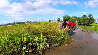 Activity Hard To Remove Floating Plants Clogged Massive Dam Drain Water