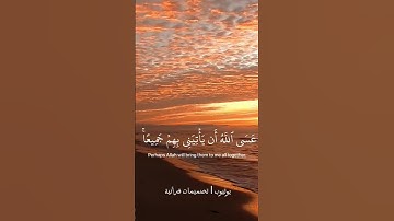 فَصَبْرٌ جَمِيلٌ ۖ عَسَى اللَّهُ أَن يَأْتِيَنِي بِهِمْ جَمِيعًا                 للقارئ | محمد هشام