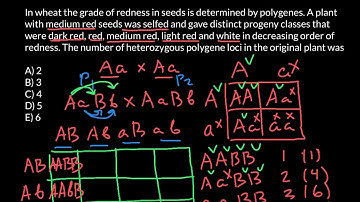 How to solve quantitative genetics problems