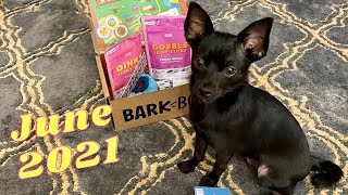 JUNE 2021 BARKBOX UNBOXING | SMALL DOG | MY DOG’S REACTION screenshot 5