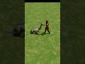 Hydra vs colossus age of mythology retold games aoe Hydra vs colossus age of mythology retold games aoe